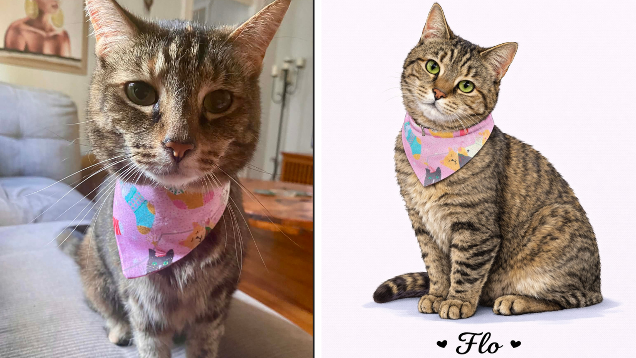 Custom digital cat portrait from photo by Chev & Co