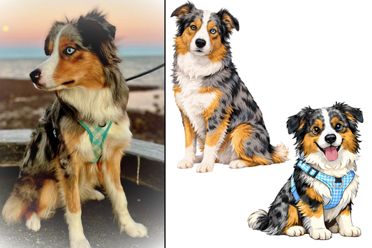 Custom digital dog portrait from photo by Chev & Co